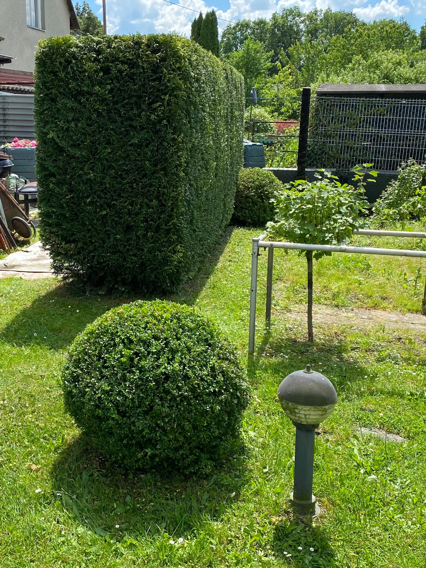 Tvarovací řez keřů
