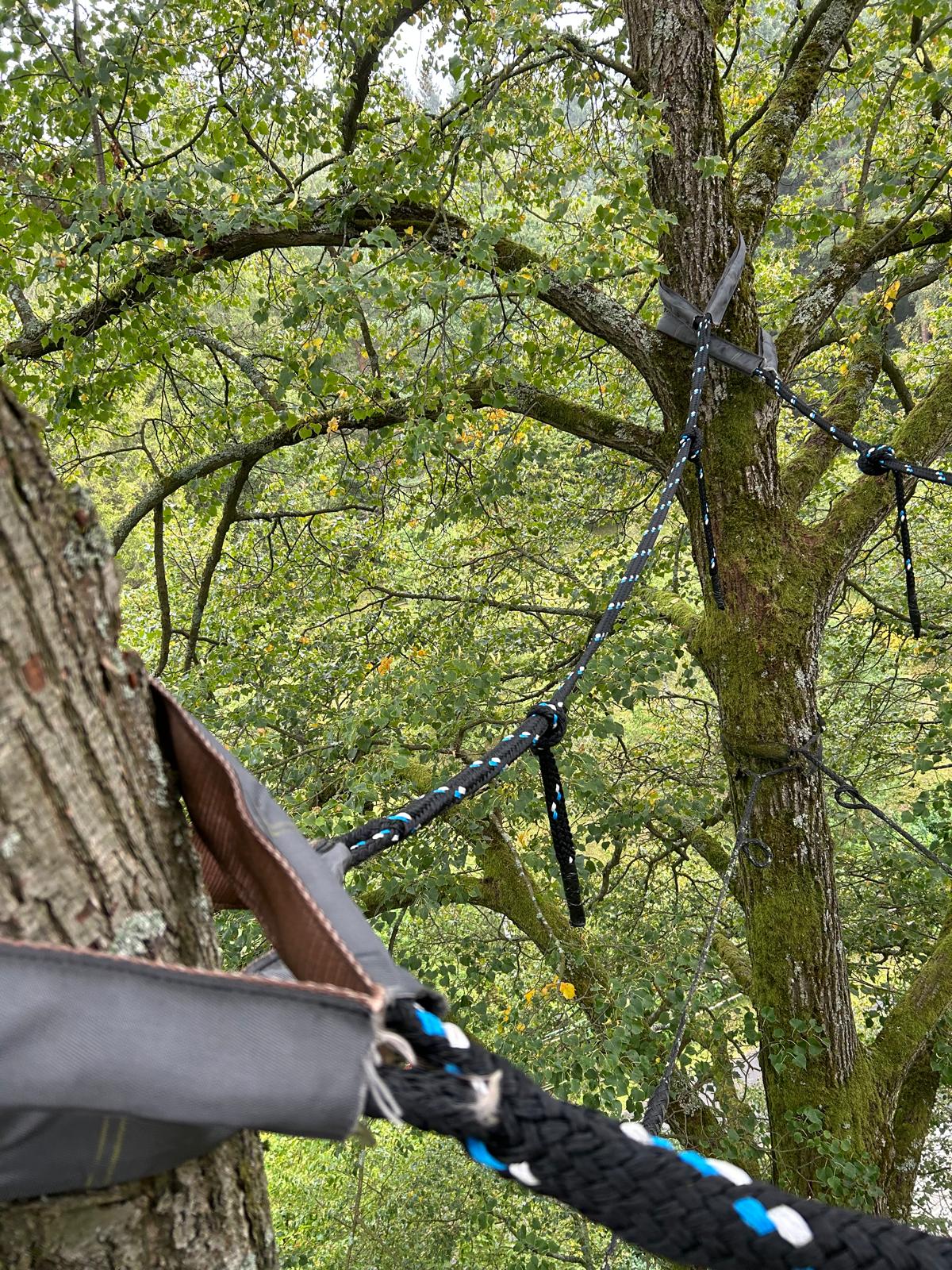 Instalace dynamické vazby